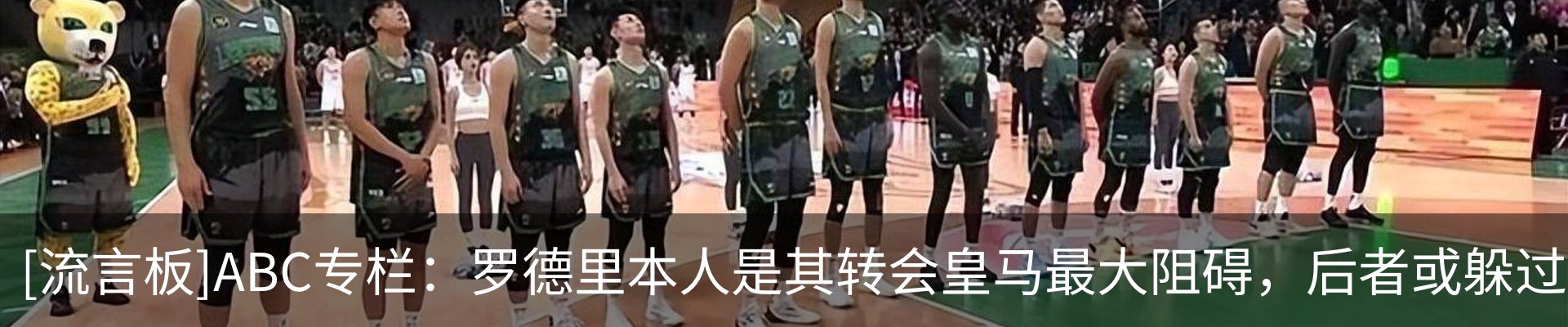 最新动态